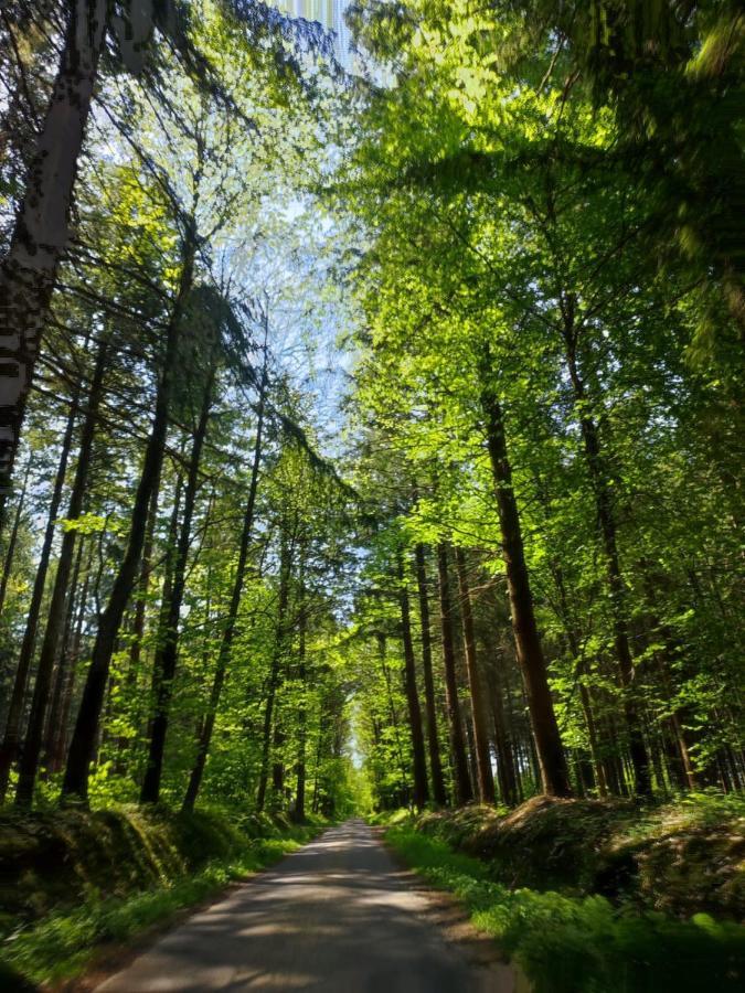 Gite Les Tongs Des Pres, Au Coeur Du Parc Normandie Maine Livaie Exteriér fotografie